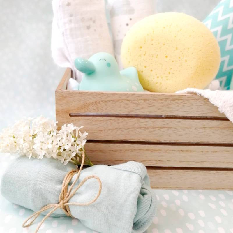 Saro Esponja Hidrofila 955 para Procurar