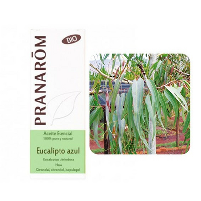 Image imported for SKU 6951301
