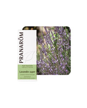 Image imported for SKU 6951327