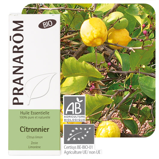 Image imported for SKU 6951343