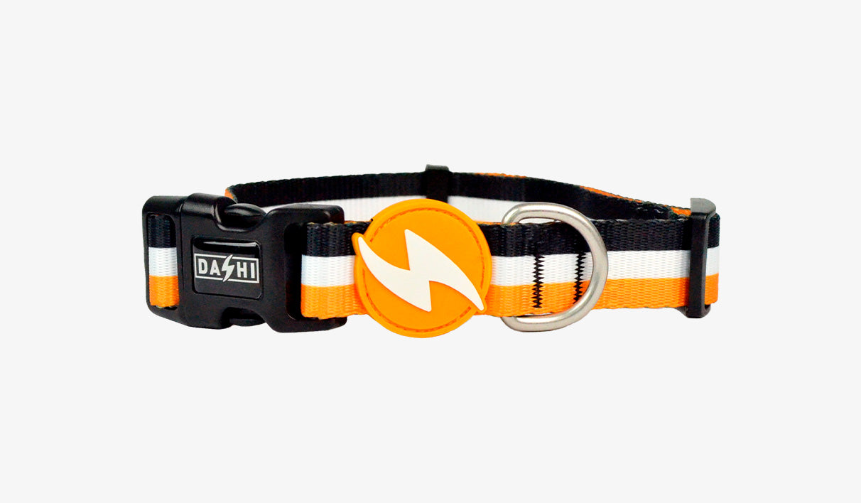 dashi-stripes3-coleira-laranja-e-preto-s