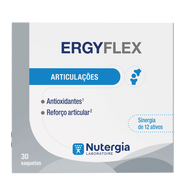 Nutergia Ergyflex 30 Saquetas