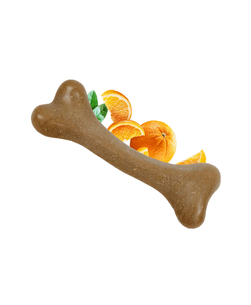 dashi-fruity-bones-osso-laranja-s-1-unidade