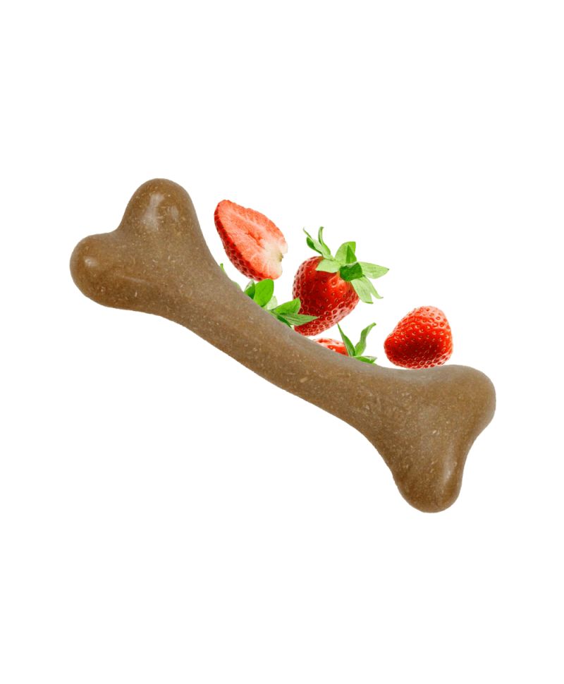 dashi-fruity-bones-osso-de-morango-s