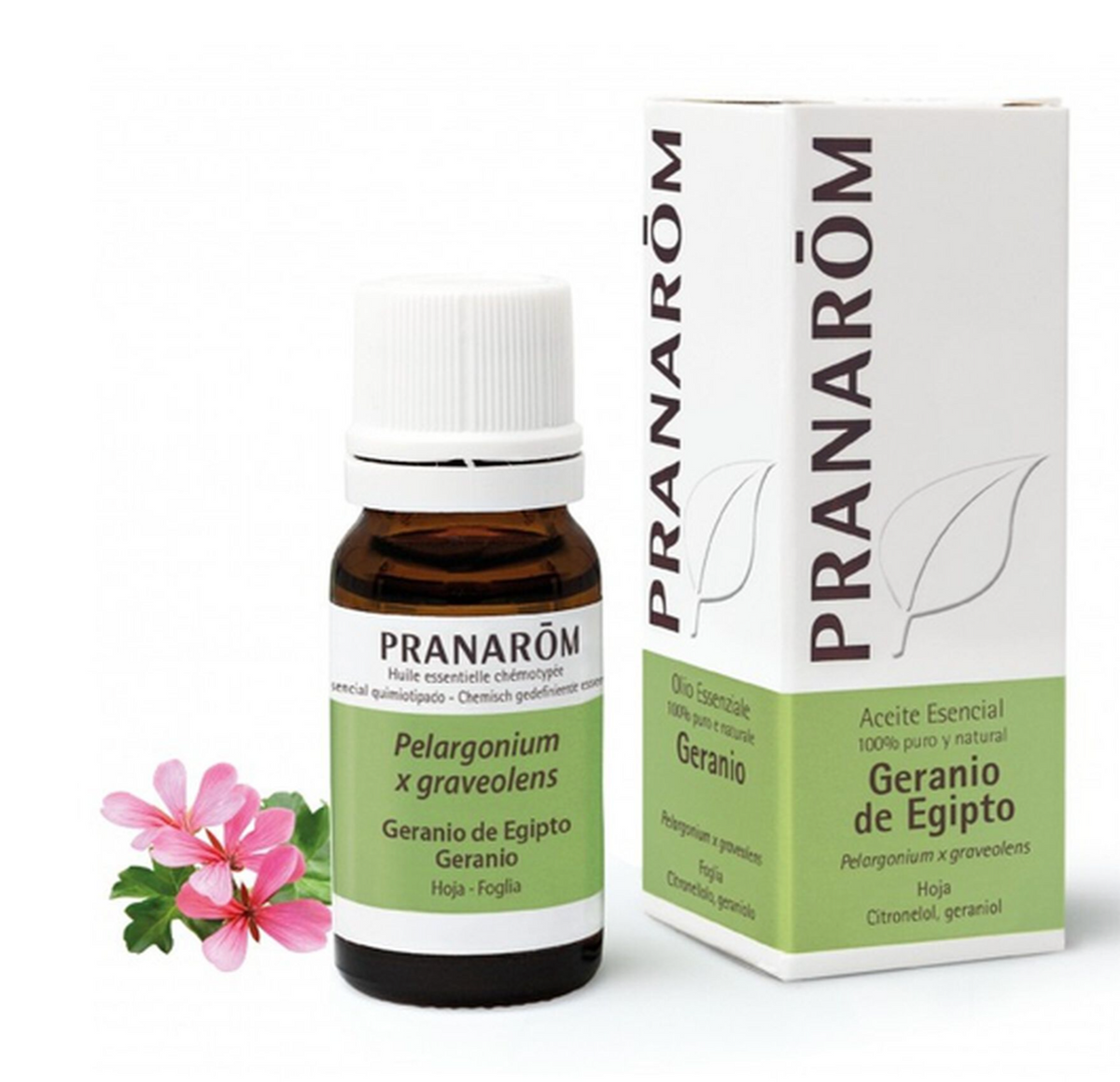 Pranarôm Óleo Essencial Gerânio do Egipto Pelargónio Bio 10ml — Aromaterapia, Suplementos