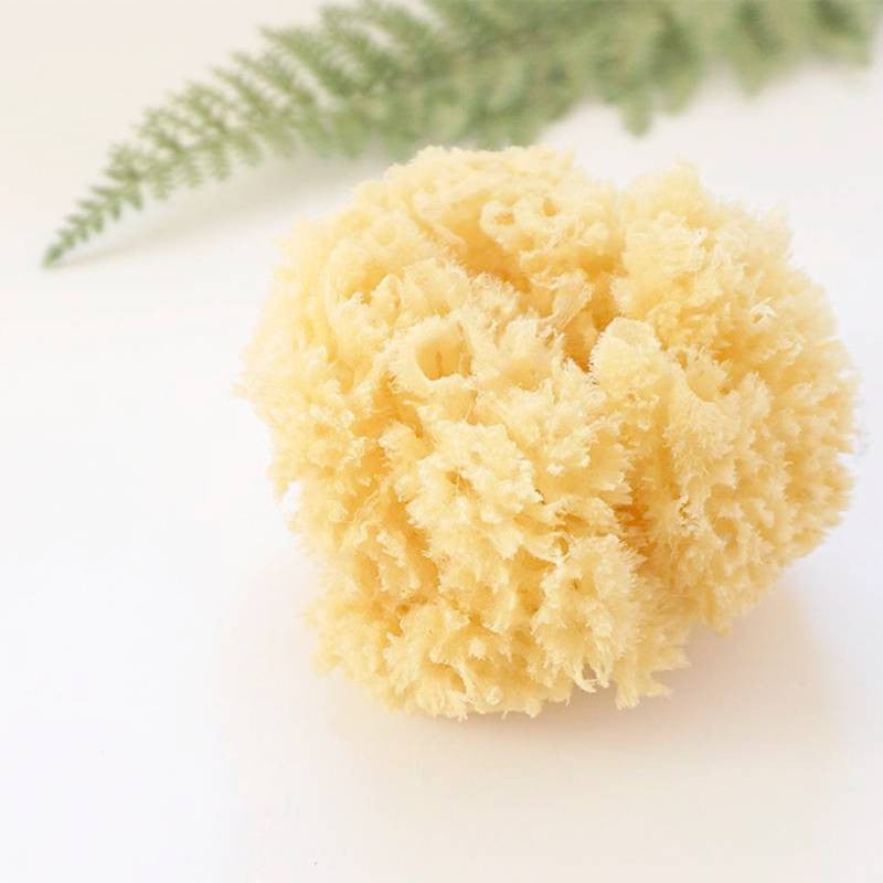 Saro Esponja Natural para Procurar
