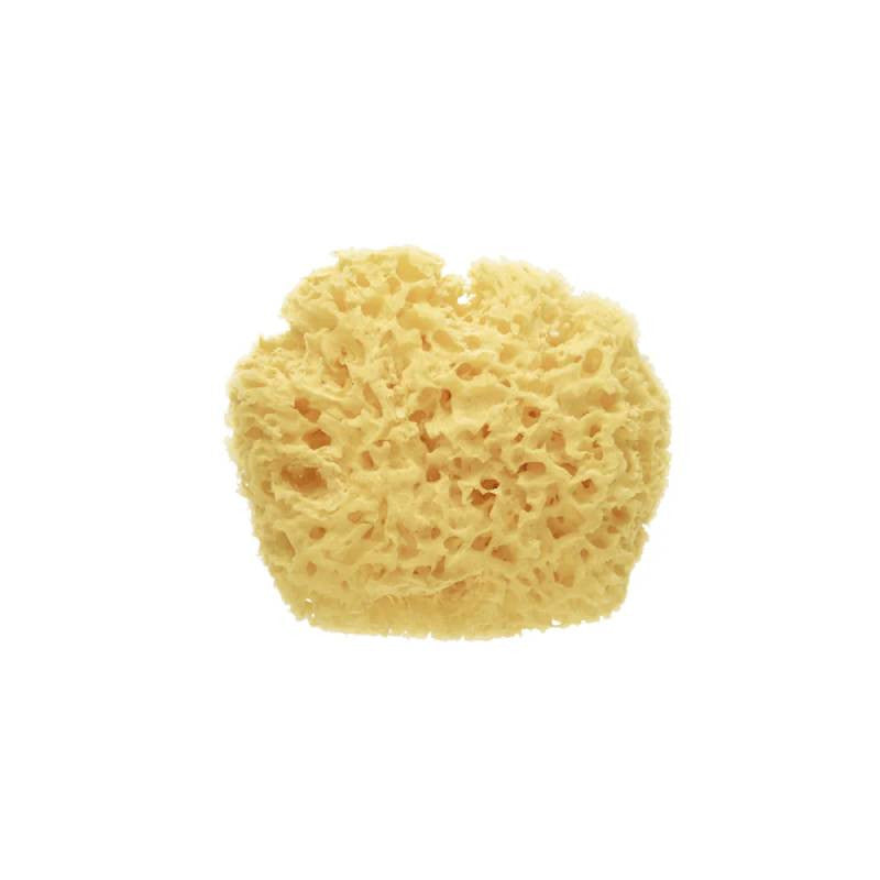 Saro Esponja Natural Premium 964 para Procurar