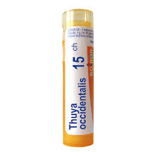 boiron-thuya-occidentali-15ch-granulos